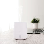 Mini USB Air Humidifier and Essential Oil Diffuser