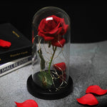 Enchanted LED Rose