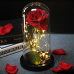 Enchanted LED Rose