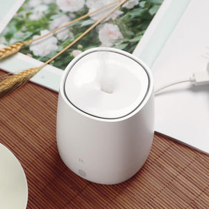 Mini USB Air Humidifier and Essential Oil Diffuser