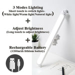 Wireless LED Magnetic Lamp