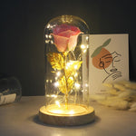 Enchanted LED Rose