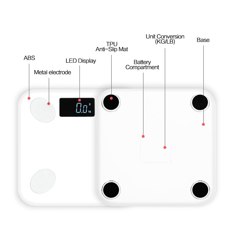 Bluetooth Smart Scales